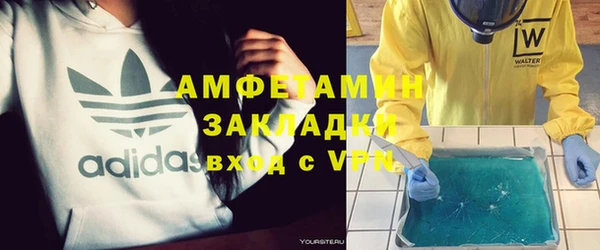 индика Сосновоборск