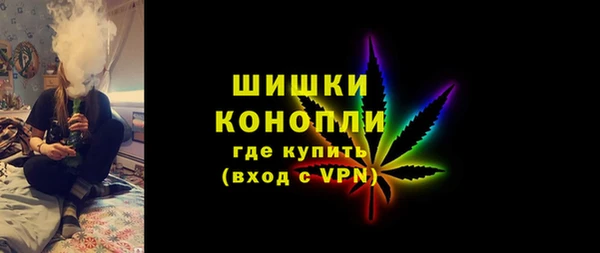 дживик Абаза
