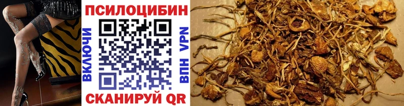 Галлюциногенные грибы Psilocybine cubensis  Иннополис 